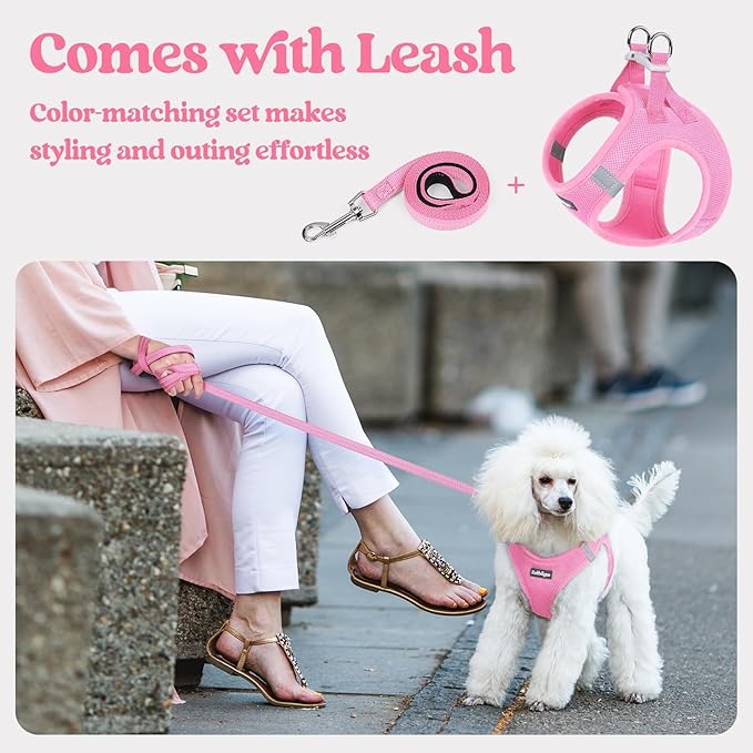 rabbitgoo Dog Harness Small Sized and Leash Set, Step in Soft Light Puppy Vest, Breathable Mesh Pet Harness, Reflective for Safe Easy Walking, Light Pink S