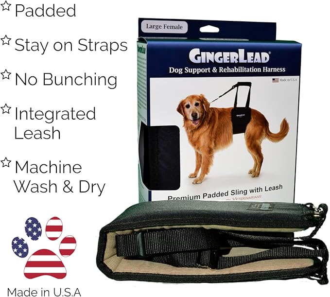 GINGERLEAD Dog Sling Support Harness, LG Female fits Big Dogs Over 65 lbs. Padded Rear Lift with Integrated Leash to Assist Senior K9s, or Recovery from Knee/TPLO, Hip or Back Surgery. Made in U.S.A.