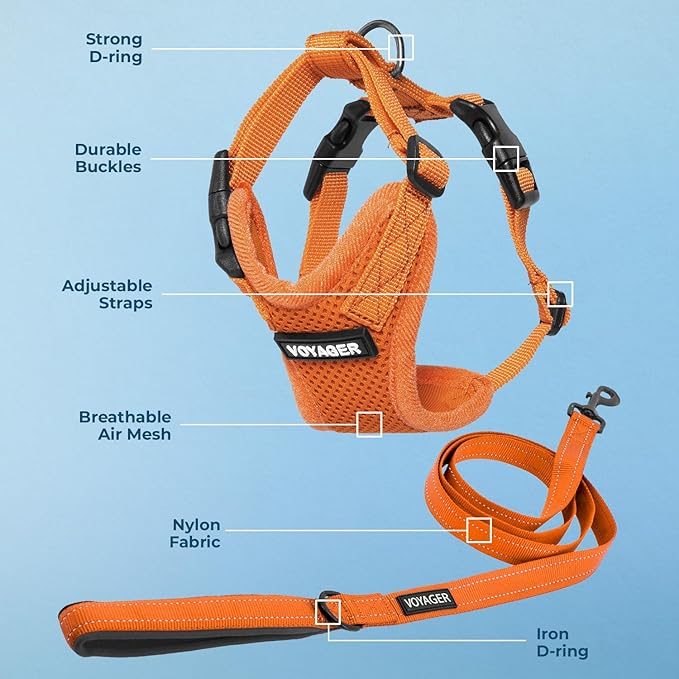 Best Pet Supplies Voyager Step-in Lock Pet Harness w Reflective Pet Leash Combo Set with Neoprene Handle 5ft - Supports Small, Medium and Large Breed Puppies/Cats - Orange, XS
