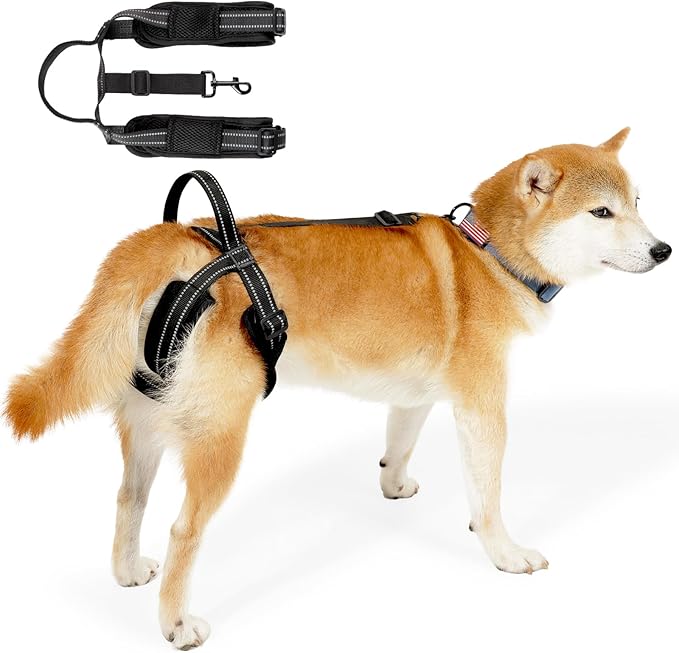 ROZKITCH Pet Dog Support Harness Rear Lifting Harness for Back Legs Reflective Dog Sling Vet Approved for Old Helps with Poor Stability Hind Legs, Joint Injuries Elderly Arthritis ACL Rehab Black S