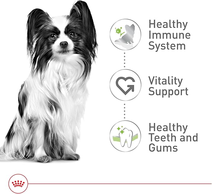 Royal Canin Size Health Nutrition X-Small 8+ Senior Dry Dog Food, 2.5 lb Bag
