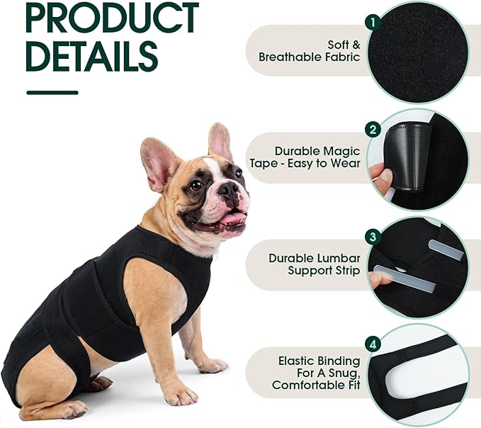Dog Back Brace for IVDD & Spinal Recovery, Adjustable Breathable Support Vest Dog Lumbar Protector Helps Pain Relief, Pet Surgical Suit for Back Disease Prevention, Black S