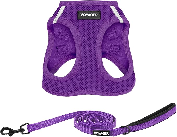 Best Pet Supplies Voyager Step-in Air All Weather Mesh Harness and Reflective Dog 5ft Leash Combo with Neoprene Handle, for Small, Medium and Large Breed Puppies - Set (Purple), Small