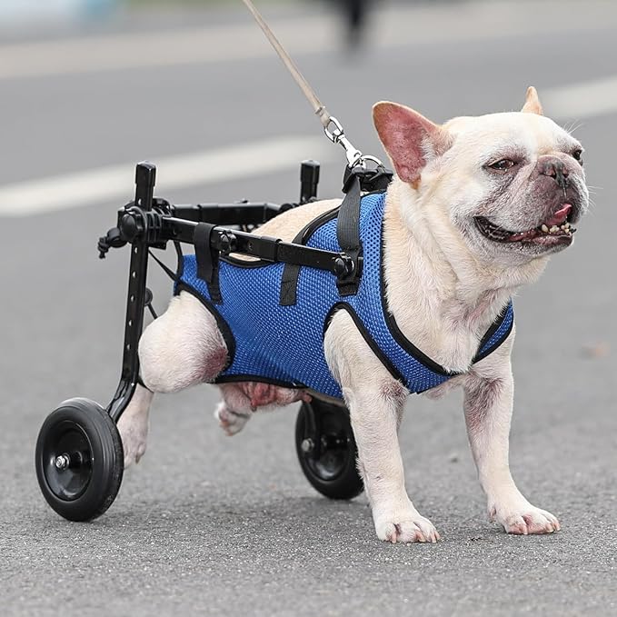 Small Dog Wheelchair for Back Legs - Adjustable Mobility Aid for Disabled Pets, Leg Brace and Hip Support