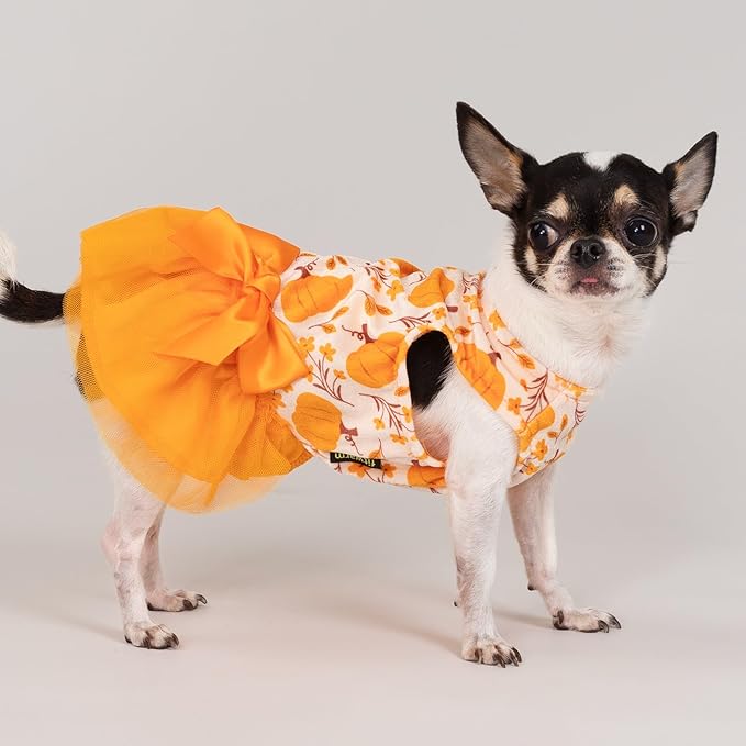 Fitwarm Pumpkin Flower Dog Dress, Thanksgiving Outfit for Small Dogs Girl, Fall Pet Outfit, Beige, Orange, Medium