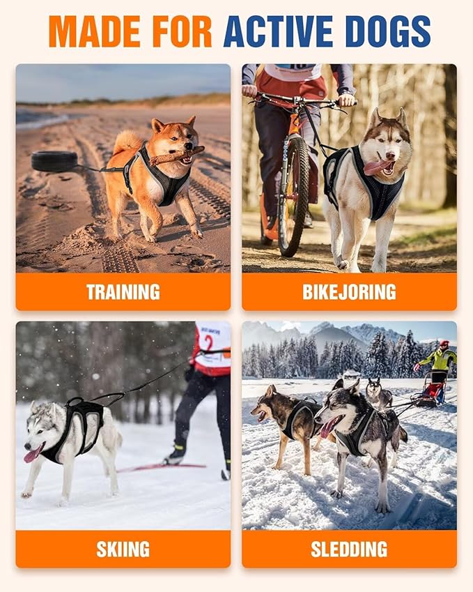 Dog Pulling Harness Set with Waist Belt & Shock-Absorbing Leash, Adjustable Sled Harness for Running, Hiking & Biking, Medium Large Dogs- L Size
