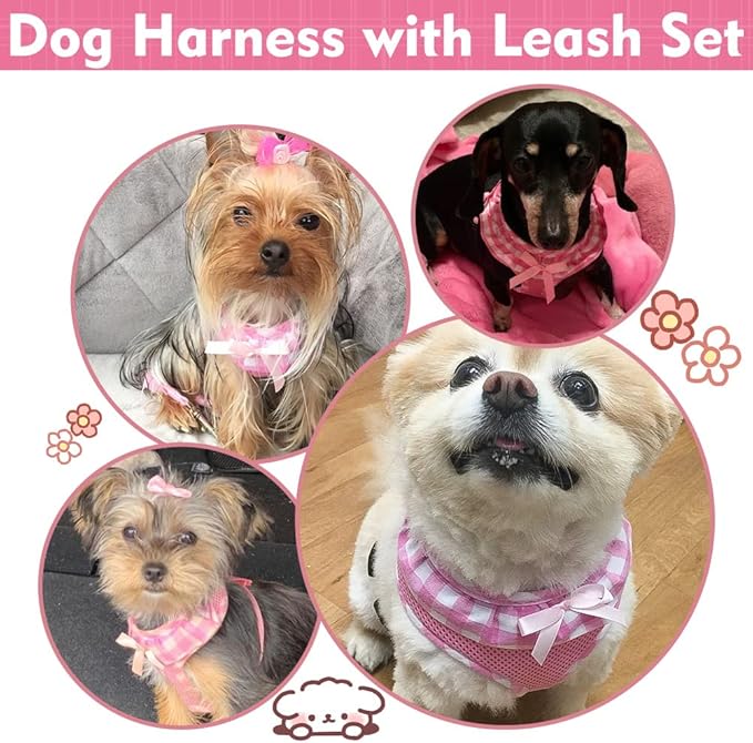 EXPAWLORER Cute Dog Harness and Leash Set - Pink Girl Dog Harness Checkered Step-in Design, Easy Adjustable No-Choke Lightweight Breathable Vest for Small Medium Dogs Outdoor Walking, Medium