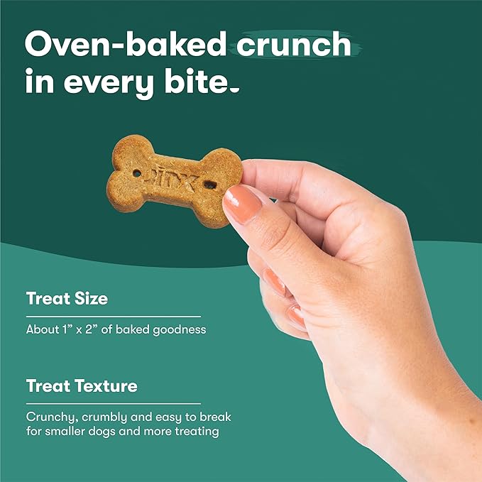 Jinx Oven-Baked Beef Bone Broth Mini Biscuit Dog Treats - Crunchy, All Natural, Superfood-Rich with Grass-Fed Beef, Dog Biscuits for Puppies, Adults & Seniors - 3lb