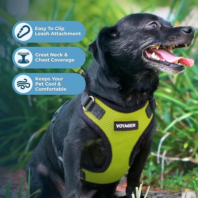 Voyager Step-in Pet Harness - All Weather Mesh, Adjustable Step in Harness for Cats and Dogs by Best Pet Supplies - Lime Green/Black Trim, L
