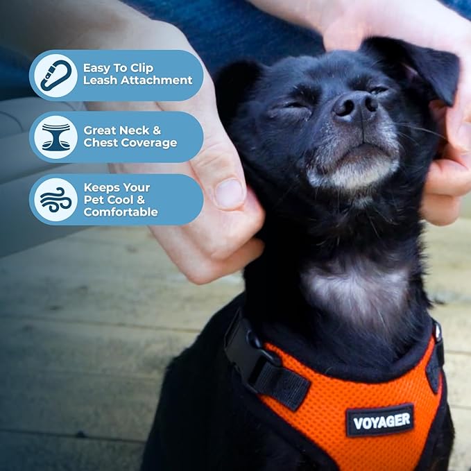 Best Pet Supplies Voyager Step-in Lock Pet Harness w Reflective Pet Leash Combo Set with Neoprene Handle 5ft - Supports Small, Medium and Large Breed Puppies/Cats - Orange/Black Trim Set, S