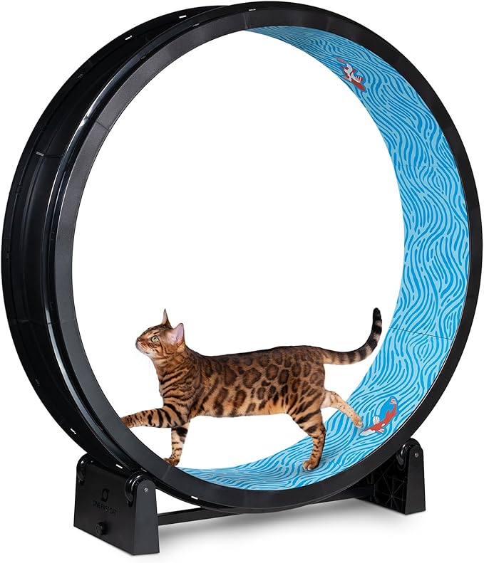 One Fast Cat - Cat Exercise Wheel - Gen. 7 - Safe 48" Diameter - Made in The USA - Black Wheel with Koi Pond Foam Traction Pads and Light-Up LED Inline Wheels