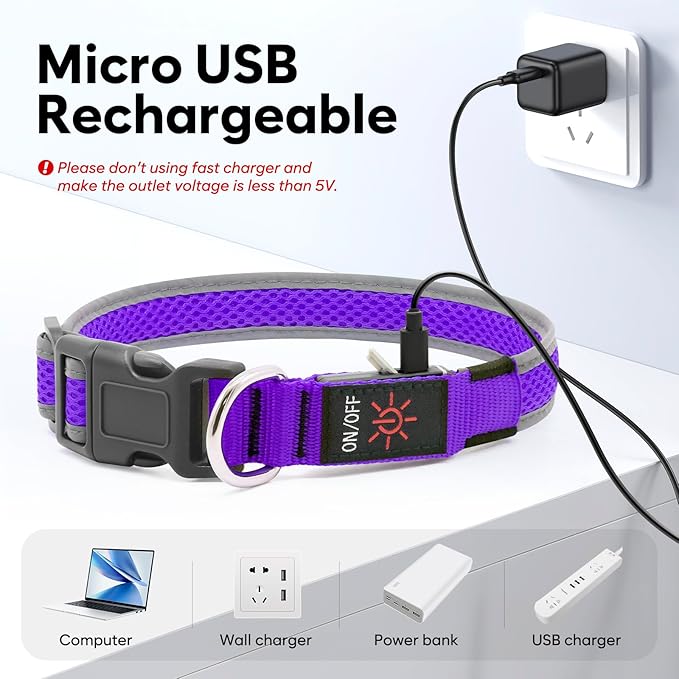 Flashseen LED Dog Collar, Light Up Dog Collar USB Rechargeable, Brightest Dog Lights for Night Walking, Adjustable Dog Collar Light for Dog Safety (Purple, Medium)