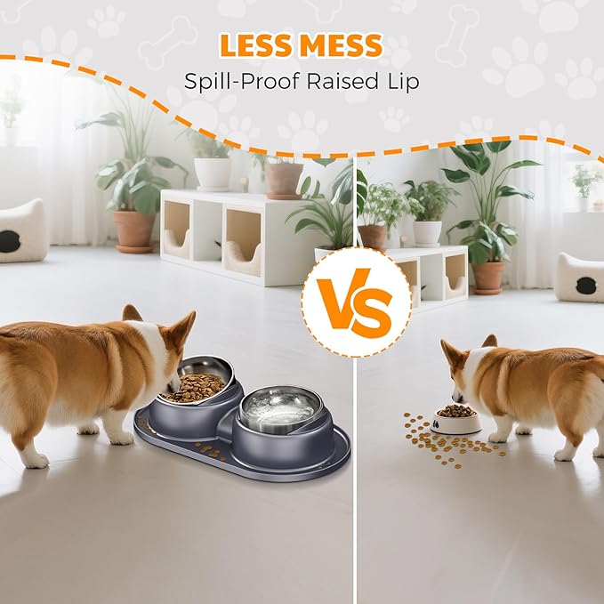 Elevated Cat Bowls Set of 2 Stainless Steel Bowl, Small Dog Food and Water Feeder with Non Spill Skid Resistant Mat,Tilted Dog Food Bowls Elevated Anti Vomiting, Ant Proof Cat Food Bowls