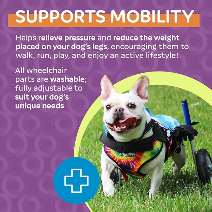 Walkin' Wheels Small Dog Wheelchair, Lightweight Dog Wheelchair for Back Legs, 11-14 lbs, for 7-8 inches Leg Height - Blue