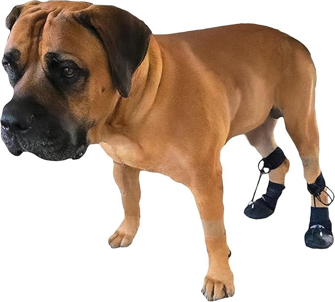 WALKABOUT™ Toe'sUP No Knuckling Boot Brace for Dogs Dragging Paws | Corrective Dog Shoes to Safely Lift Toes