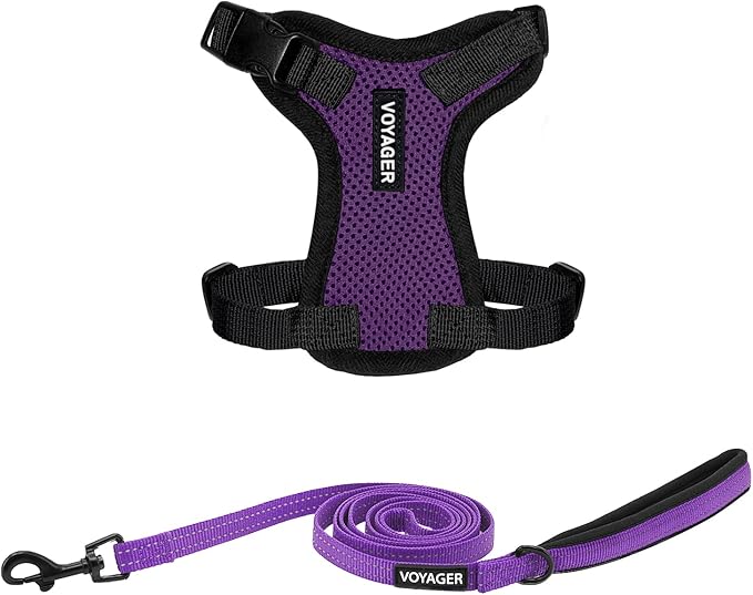 Best Pet Supplies Voyager Step-in Lock Pet Harness w Reflective Pet Leash Combo Set with Neoprene Handle 5ft - Supports Small, Medium and Large Breed Puppies/Cats - Purple/Black Trim, XXS
