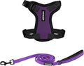 Best Pet Supplies Voyager Step-in Lock Pet Harness w Reflective Pet Leash Combo Set with Neoprene Handle 5ft - Supports Small, Medium and Large Breed Puppies/Cats - Purple/Black Trim, XXS