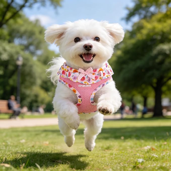 EXPAWLORER Cute Dog Harness Collar Leash Set - Pink Girl Dog Harness Checkered Step-in Design, Adjustable No-Choke Lightweight Mesh Vest for Cats Puppy Small Dogs, Flower S