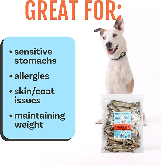 Polkadog Crunchy Haddock Skins Dog Treats – Single-Ingredient, Omega-3 Rich, All-Natural Pet Snack – Locally-Caught, Sustainable Seafood – High Protein, Made in USA – 1 lb