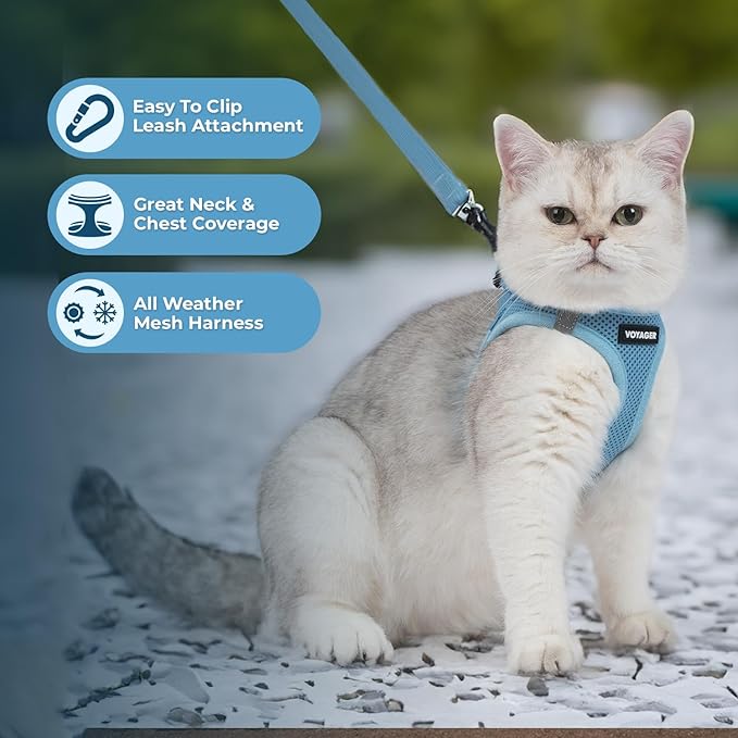 Voyager Step-in Pet Harness - All Weather Mesh, Adjustable Step in Harness for Cats and Dogs by Best Pet Supplies - 307S Baby Blue, XS