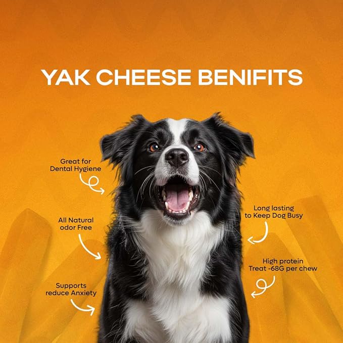 Premium Gold Yak Cheese Himalayan Dog Chews, Dog Treats for Dogs, All Natural, High Protein, for Aggressive Chewers - 1 LB Bag (Medium, Original)