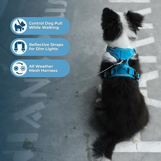 Voyager Dog Harness Dual Leash Attachment No-Pull Control Adjustable Soft but Strong Pet Harness for Medium and Large Dogs with 3M Reflective Technology, Leash Set Turquoise Nylon, S (Chest: 16-20")