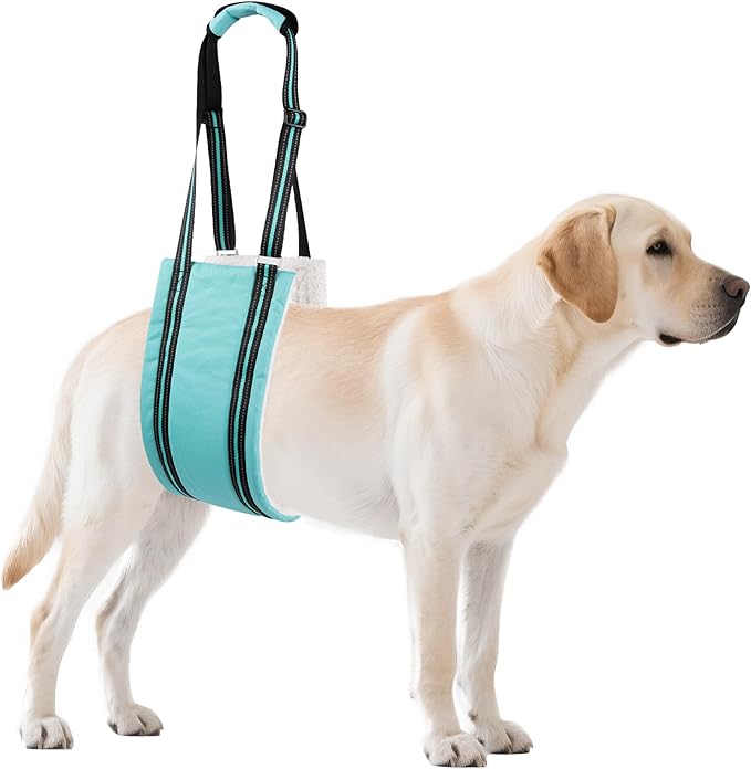 AIITLE Heavy-Duty Dog Lift Harness - Adjustable Hind Leg Support Sling for Elderly/Disabled Dogs, Orthopedic Rehab Aid with Plush Padding & Reflective Straps, Helps Stairs/Car Access (Turquoise, XL)