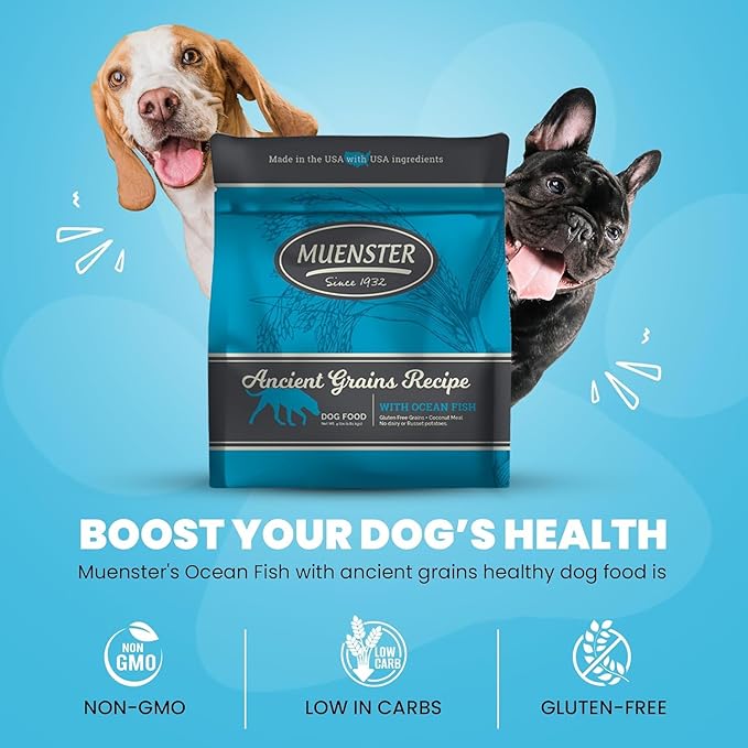 Muenster Ancient Grains Ocean Fish Dry Dog Food, 4lb - Gluten-Free, High Protein, Digestive Support