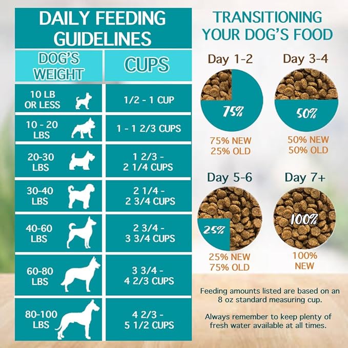 Chicken Soup for the Soul All Natural Premium Adult Dry Dog Food, Real Meat First Ingredient, No By-Products, Supports Gut & Immune Health, Chicken, Turkey & Brown Rice, 4.5lb