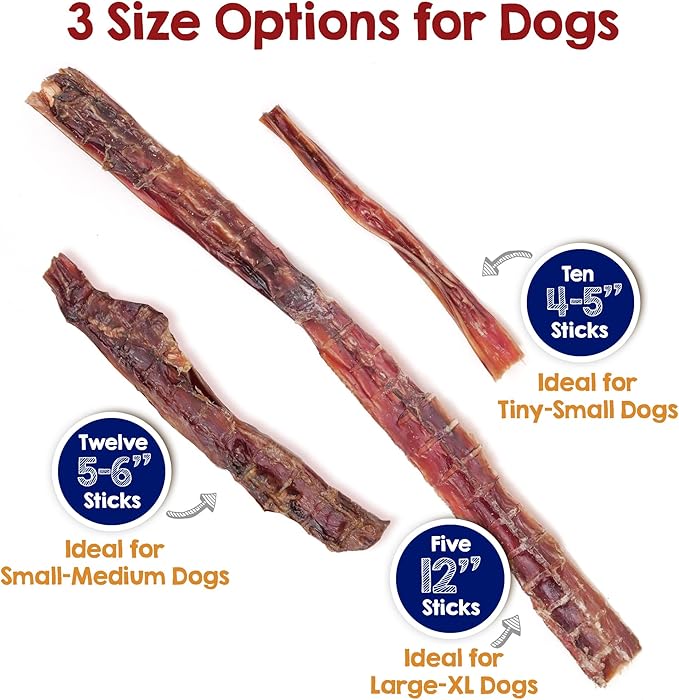 Riley's Steer Bully Sticks for Tiny to Small Dogs - Odor Free Single Ingredient Chew Treat - Easily Digestible, 100% Beef Pizzle Sticks for Dogs - 4-6", 10ct (Pack of 2)