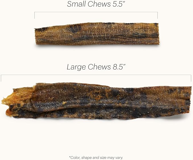 The Honest Kitchen Human Grade Ocean Chews™ Hearty Wolffish Skins Dog Treats,3.25 oz (Beams™),(Pack of 2)