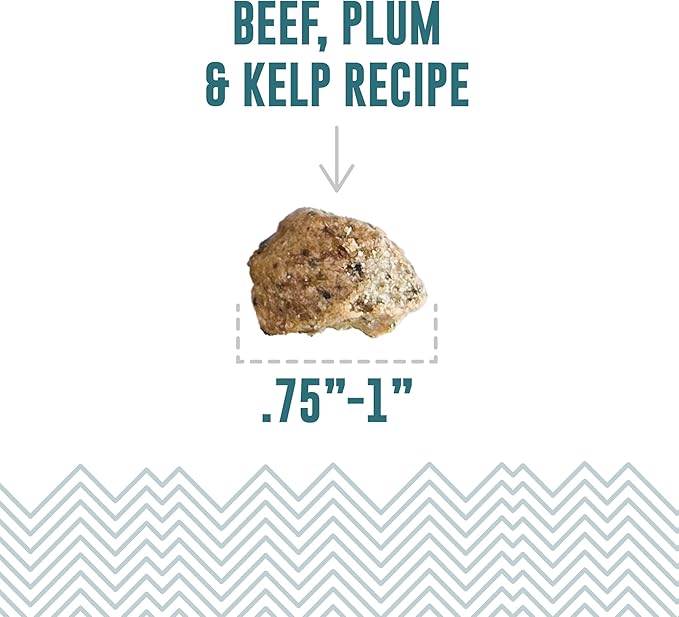 Icelandic+ Soft & Chewy Bites - Beef, Plum & Kelp - 2.8oz Dog Treats, 70% Meat & Fruit, Air-Dried, Limited Ingredients, Pet Snack, Grain Free