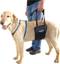 GINGERLEAD Dog Rear Support Sling Harness, M/LG Unisex with Cutout Fits Male & Female Dogs. Padded Hip Lifting Aid Helps Old Pets Walk, K9s Recover from TPLO Surgery. Integrated Leash. Made in U.S.A.