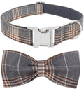 YOY Soft Comfortable Adjustable Pet Collar with Bowtie, Heavy Duty Dog Collar and Leash Set for Small Medium Large Dogs Cats, Puppy Grooming Doggy Accessories, Length 14" - 20"