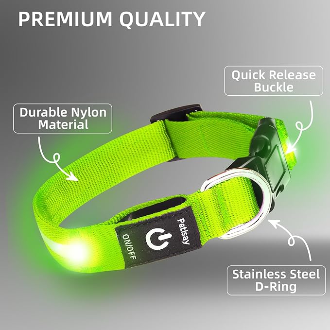 PetIsay Light Up Dog Collar - High Visibility & Durable Nylon Material - USB C Rechargeable & Waterproof LED Collar for Night Walking, Glow in The Dark Flashing (Green, Small)