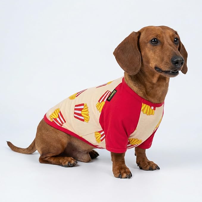 Fitwarm 2 Pack Hot Dogs & French Fries Dog Shirt, Funny Summer Clothes for Small Dogs Boy Girl, Cozy Pet Outfit, Beige, Blue, XS