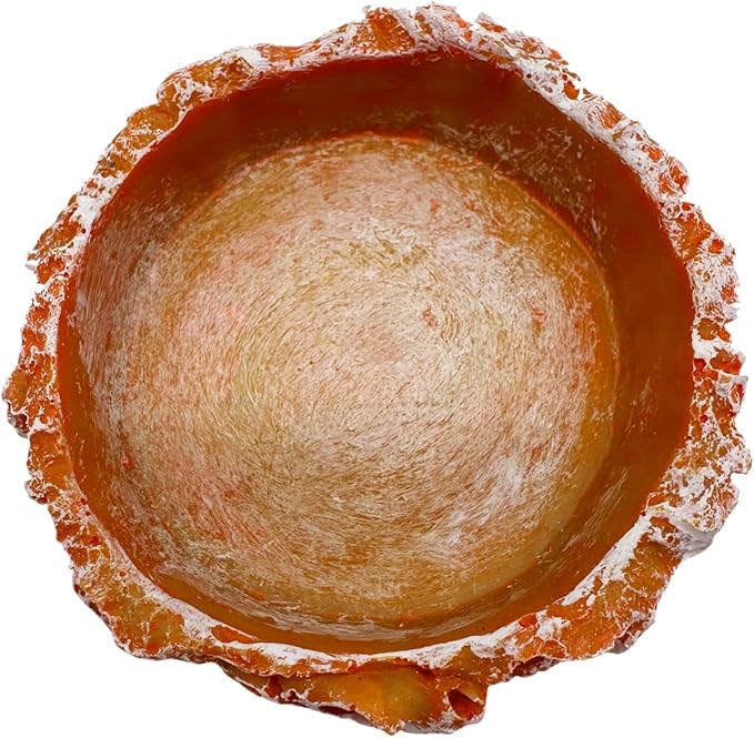 3 Pack Small Reptile Food and Water Bowls, Reptile Terrarium Bowls for Bearded Dragon Lizard Frog Gecko Tortoise Hermit Crab Snail (Orange B)