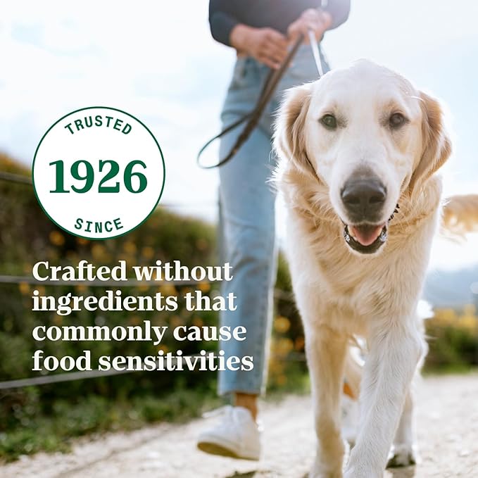 Nutro Limited Ingredient Diet Adult Canned Dog Food, Grain Free Wet Dog Food Cans Premium Loaf Turkey & Potato Recipe, 12.5 oz. (12 Count)
