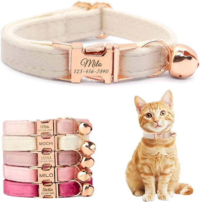 Personalized Non-Breakaway Cat Collar with Name, Luxury Soft Velvet Custom Engraved Name Collar with Bell for Kittens & Cats (Off-White, S (6.5-10.5 inches))