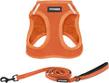 Best Pet Supplies Voyager Step-in Air All Weather Mesh Harness and Reflective Dog 5ft Leash Combo with Neoprene Handle, for Small, Medium and Large Breed Puppies - Set (Orange), Medium