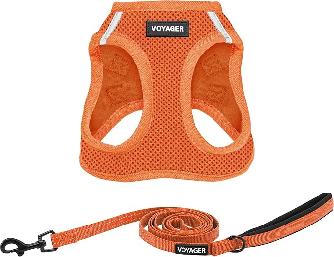 Best Pet Supplies Voyager Step-in Air All Weather Mesh Harness and Reflective Dog 5ft Leash Combo with Neoprene Handle, for Small, Medium and Large Breed Puppies - Set (Orange), X-Large