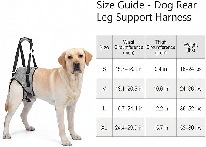 Dog Rear Leg Support Harness – Adjustable Mobility Sling for Senior Disabled Injured Dogs, Hip Joint Lift Harness for Small Medium Large Dogs, Padded Handle, Breathable & Easy to Use (M)