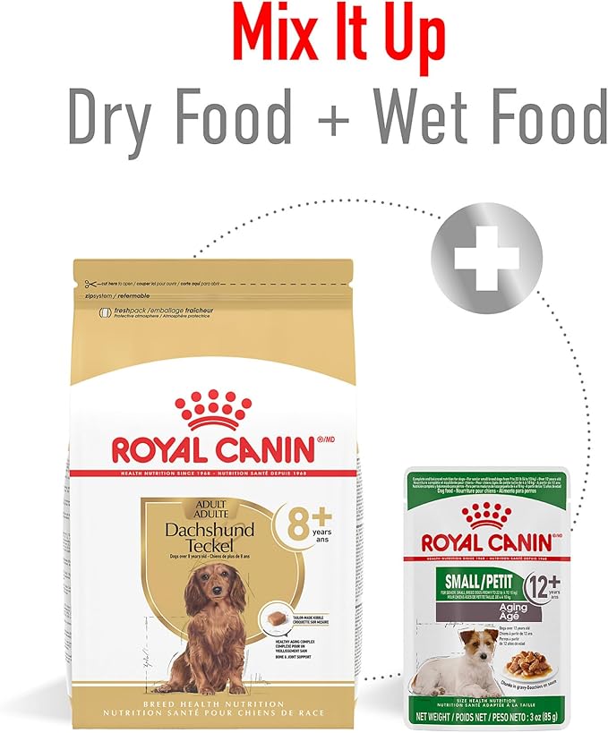 Royal Canin Breed Health Nutrition Dachshund 8+ Senior Dry Dog Food, 3 lb Bag