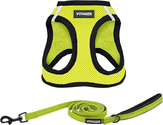 Voyager Step-in Air All Weather Mesh Harness and Reflective Dog 5 ft Leash Combo with Neoprene Handle, for Small, Medium and Large Breed Puppies by Best Pet Supplies - Green, X-Large