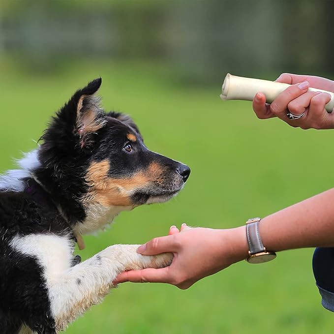 Pet Factory American Beefhide 3" Mini Rolls Dog Chew Treats - Natural Flavor, 40 Count/1 Pack