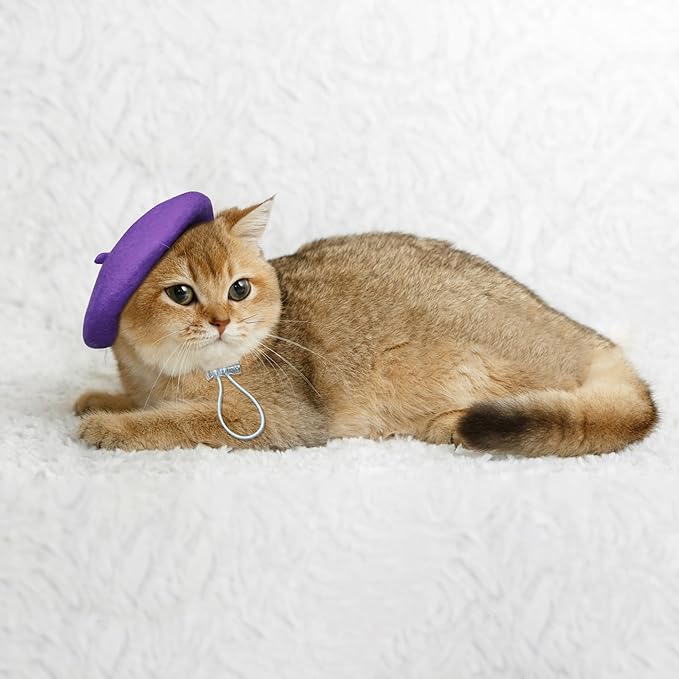 Dog Beret for Small Dogs Cat Doll, Colorful Wool Mini Cap Creative Accessories Costume French Mushroom Artist Fedora Hat Beanies Solid Color Pet Headwear Christmas Hair Accessory Photo Props (Purple)