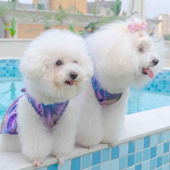 CuteBone Dog Dress Mermaid Girl Puppy Bling Skirt Cat Outfit Small Dogs Costume Pet Clothes for Holiday Beach DD10L