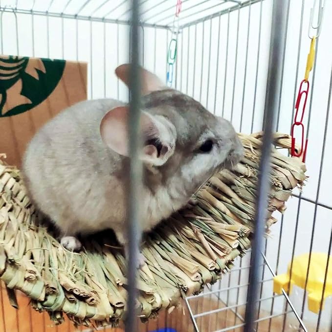 kathson 12 PCS Large Grass Mat for Rabbit, Natural Bunny Woven Hay Mat Straw Small Animal Bedding Nest for Guinea Pigs Hamster Chinchillas Puppy Biddy Sleeping Chewing Scratching