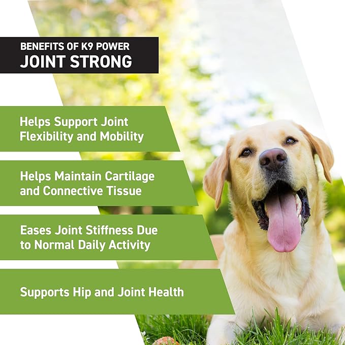 K9Power Joint Strong – Dog Joint Supplement for Mobility, Pain & Inflammation Relief – Glucosamine, Chondroitin, Collagen, Curcumin, Omega 3s, CMO, Green Tea – Ideal for Arthritis & Joint Protection