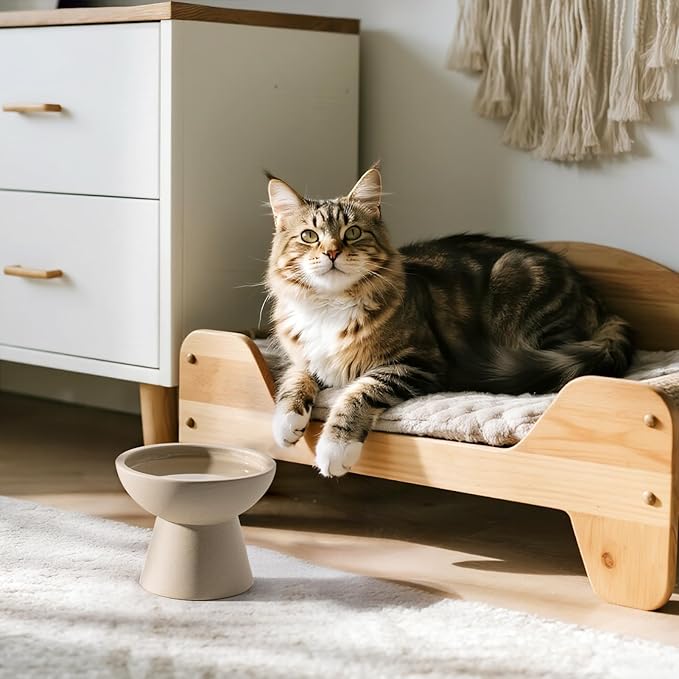 CEEFU Extra Wide Elevated Ceramic Cat Water Bowl - 6.2" Deeper Dish for Whisker Fatigue Relief, 5" Height for Easy Feeding, Lead & Cadmium Free, Durable Raised Cat Bowls, Pottery Clay (Not Glazed)